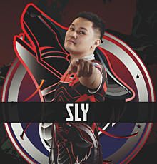 Sly