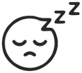 sleepers