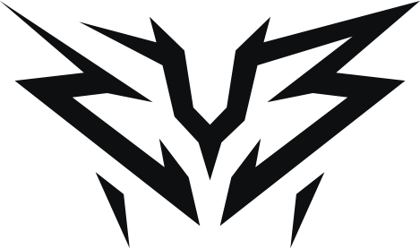 ZYB