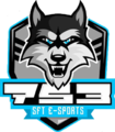 SFT