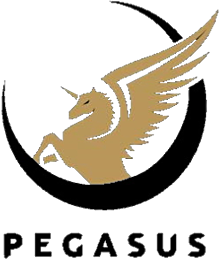 Pegasus