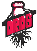 dRds