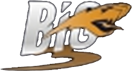 Big3