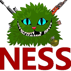 NESS
