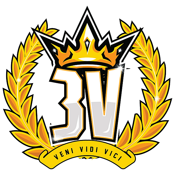 3V