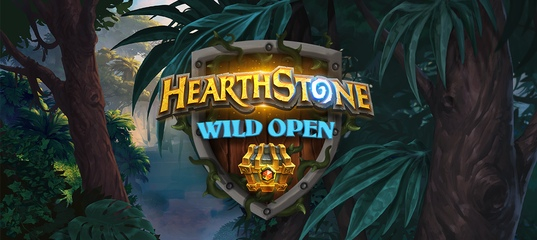 Hearthstone Wild Open 2019